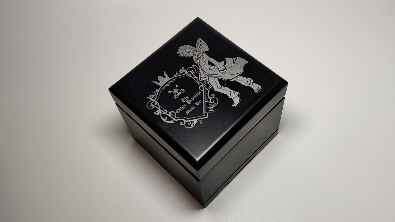 Kingdom Hearts - The Other Promise (Roxas theme) - Music Box
