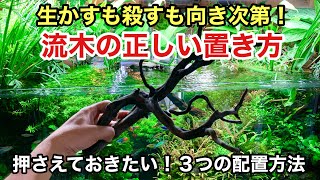 早い者勝ち】ADA流木3本、他流木2本 早い者勝ち】ADA流木3本、他流木2