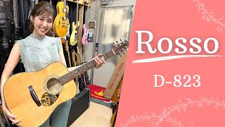 ノエルさん専用Rosso guitar エレアコ ツリーオブライフ ノエルさん