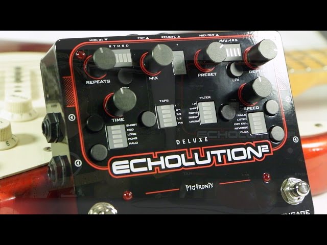 Pigtronix Deluxe Echolution 2 Stereo - YouTube