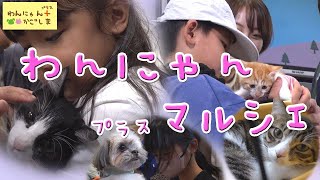 503 November 8th broadcast: 