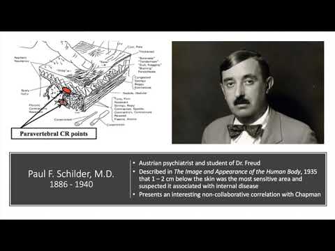 Chapman's Relexes Theory, English - YouTube