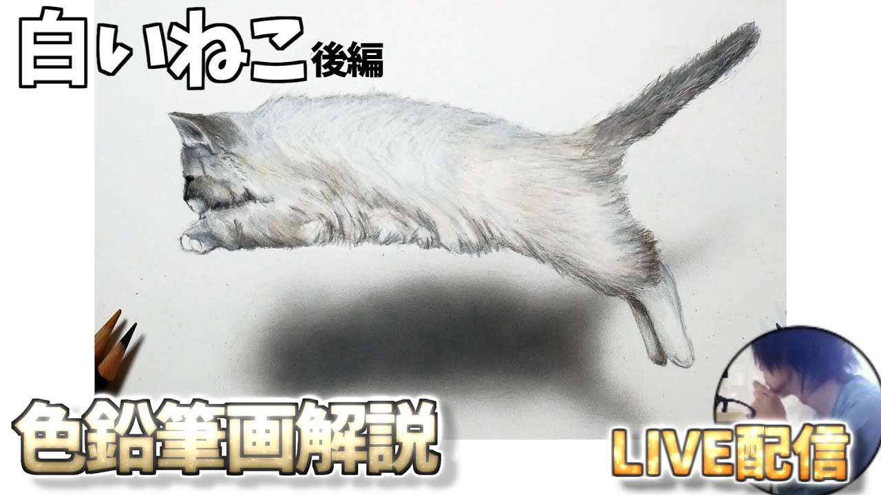 解説】色鉛筆画白い猫の描き方 後編 - YouTube
