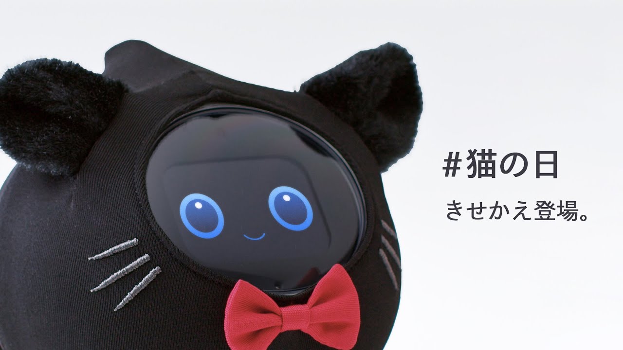 Romi （ロミィ） | RobotPlanet（ロボットプラネット）