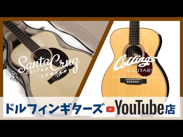 DolphinGuitarsYouTubeShop 