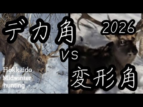狩猟】エゾシカのデカ角と変形角… - YouTube