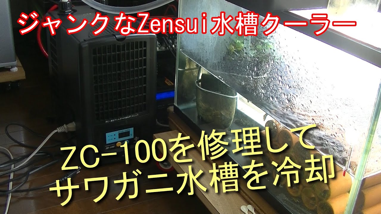 Fixing a junk Zensui aquarium cooler ZC 100 to cool a crayfish