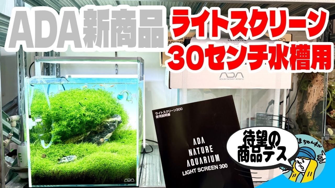 Aquarium] A new light screen that makes 30cm aquariums look