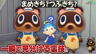まめきちとつぶきちの見分け方が一瞬でわかる裏ワザがあるらしい【あつ