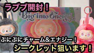 ラブブ開封！ぷにぷにチャーム&エナジー購入！エナジーでシークレット