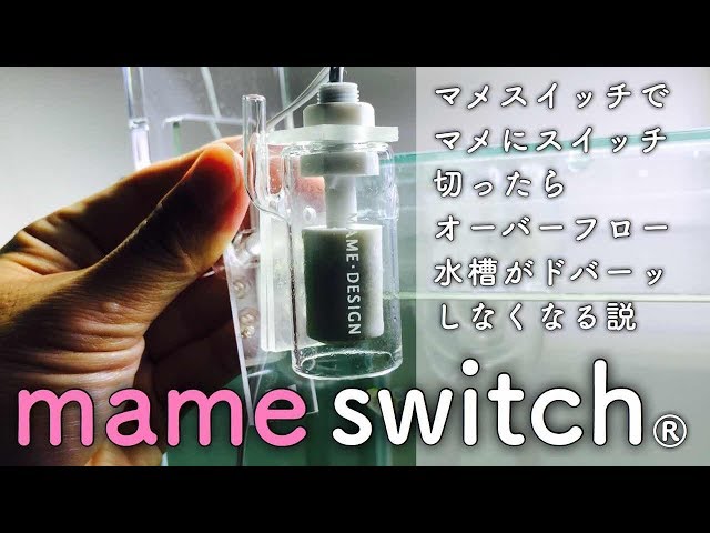 mame switch®︎ マメスイッチでマメにスイッチ切ったらオーバーフロー