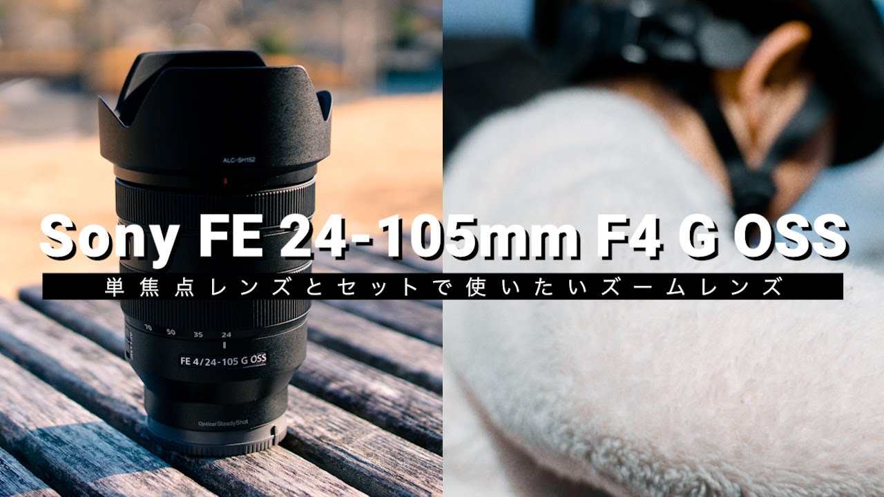 The Sony FE 24-105mm F4 G OSS is a powerful zoom lens! We also