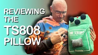 Ibanez Tube Screamer Kissen TSMAXI001 « Pillows