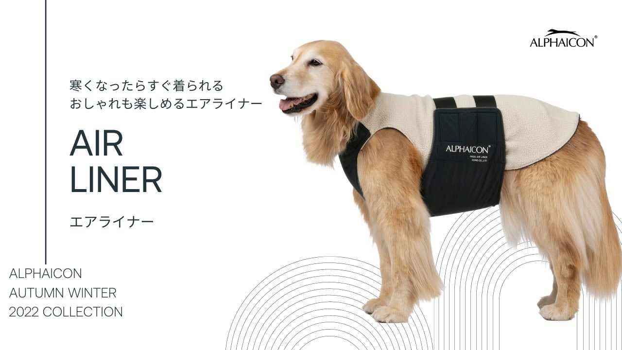 AW22 NEW COLLECTION AIR LINER - YouTube