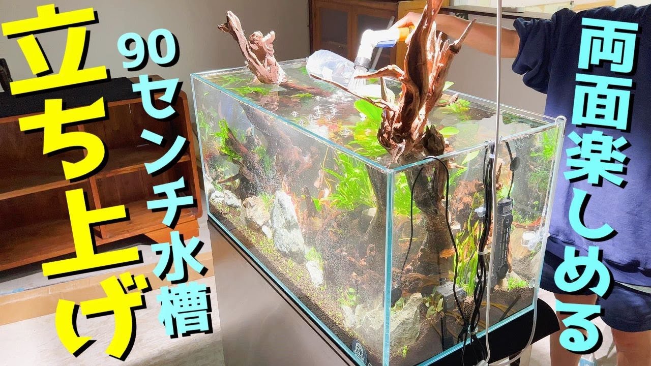 Aquarium] What is a reversible aquarium? Setting up an aquatic