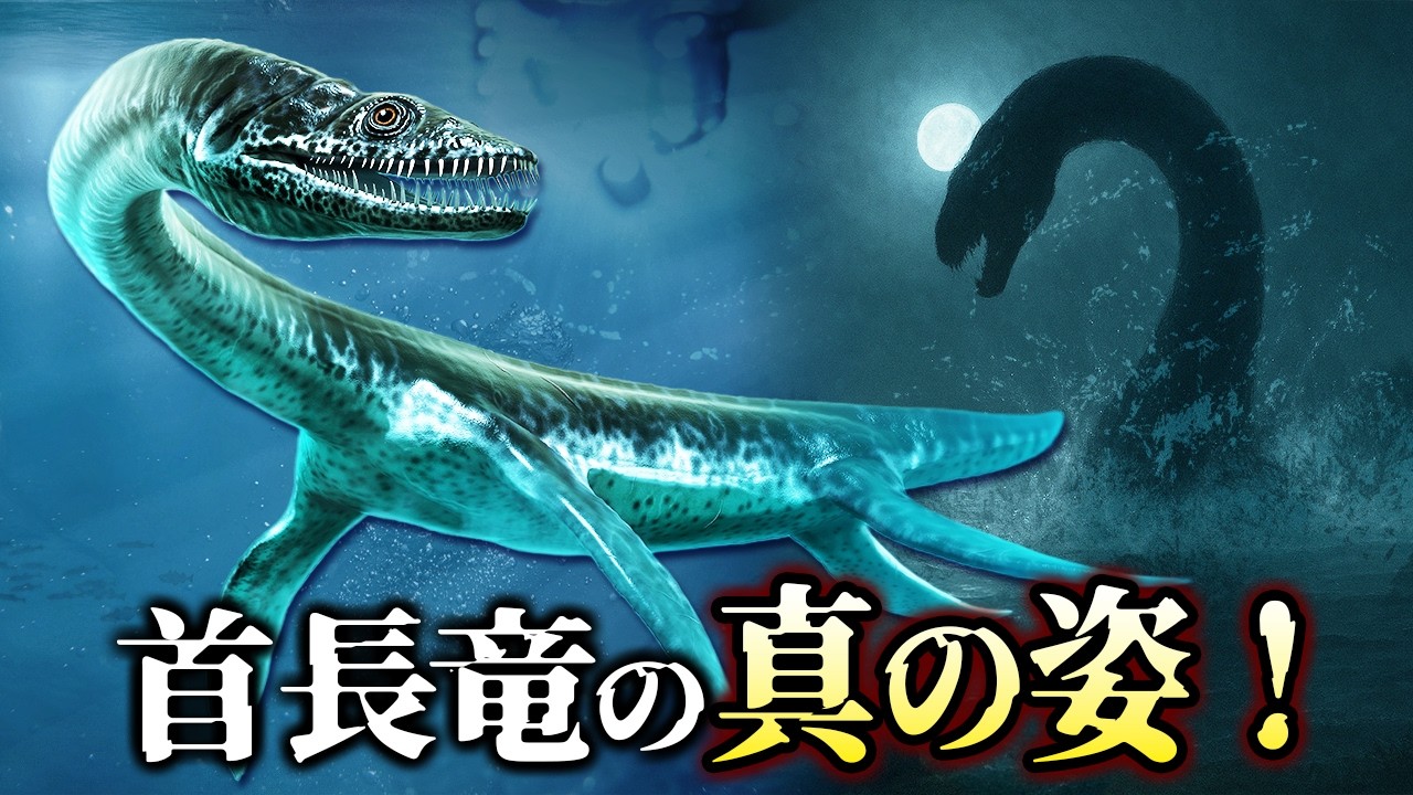 ネッシー ロックネス 怪獣 ラジコン UMA 未確認生物 プレシオサウルス