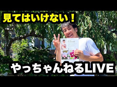 ◇真夏のやっちゃんLIVE！絶対見ないでねっ！内容薄いからね😨😨😨楽し