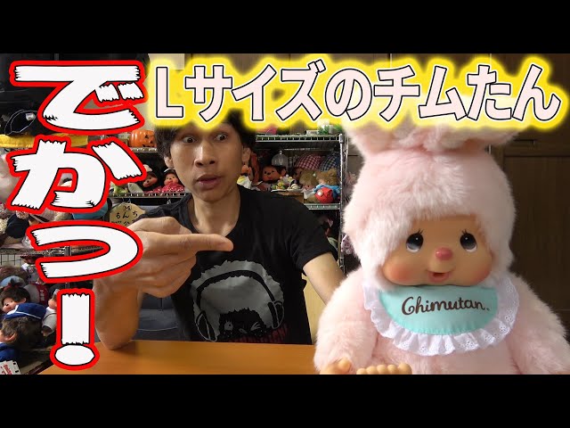 Lサイズのチムたん紹介！【モンチッチシリーズ#99】 - YouTube