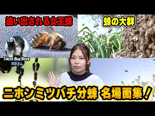 sddefault.jpg?v=64df7907