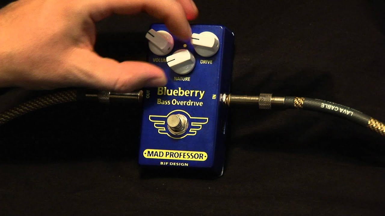 Mad Professor Blueberry Bass Overdrive pedal demo by Bass Club