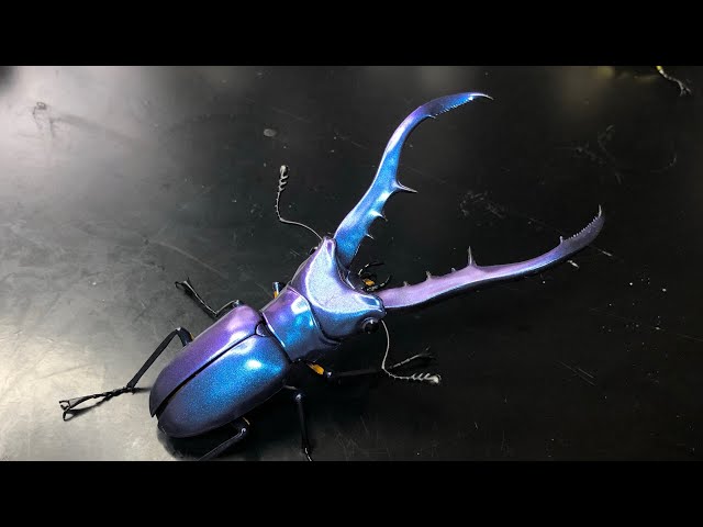 メタリフェルホソアカクワガタ ブルー2.0ver. リペイント いきもの大