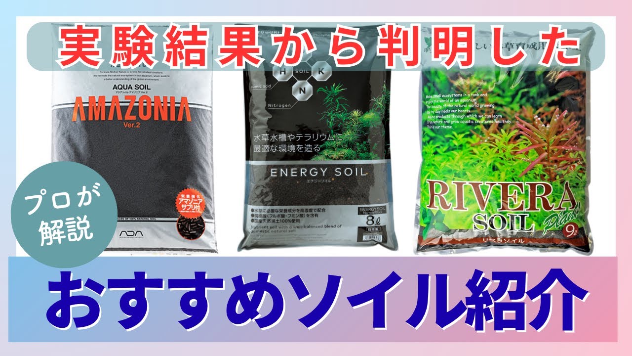 Aquarium professionals conducted experiments and found the best