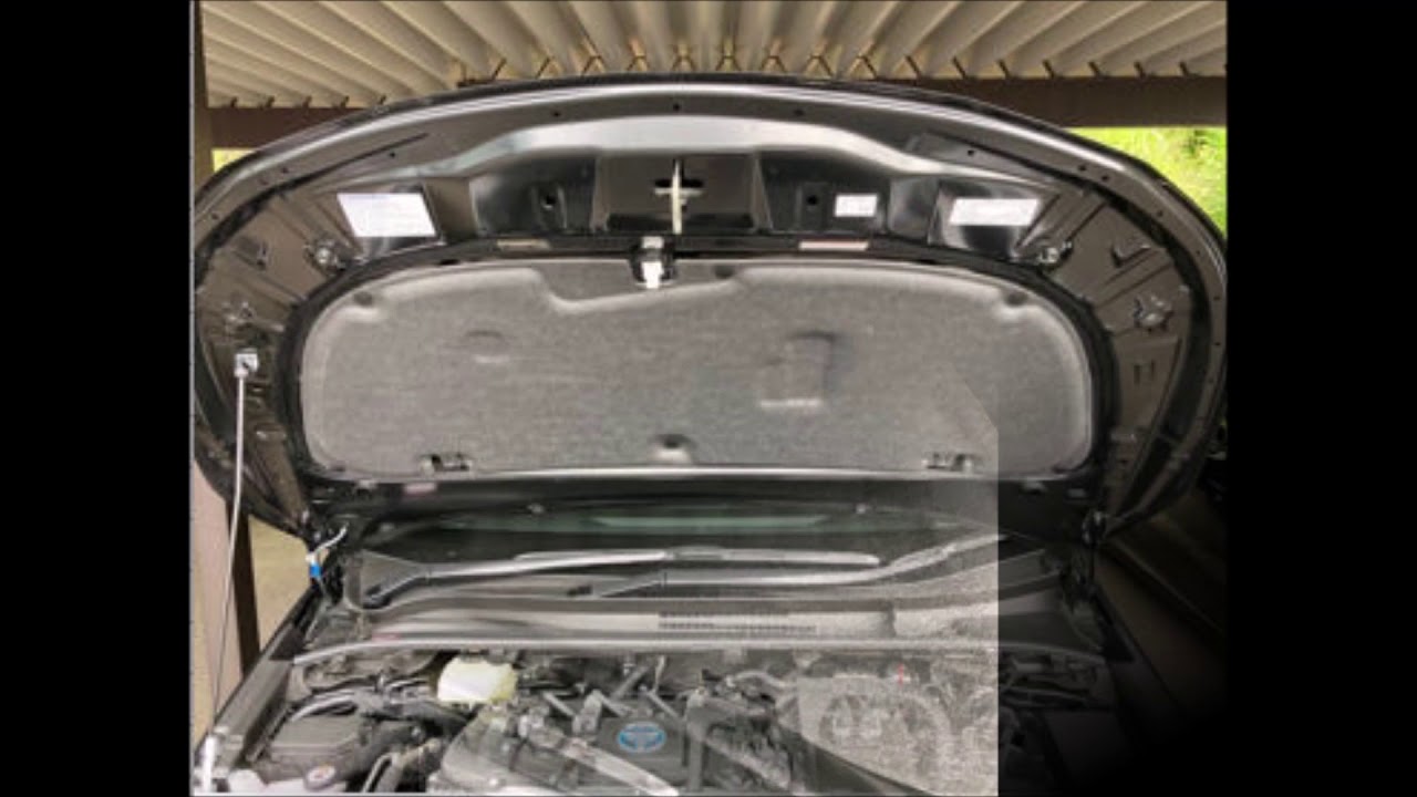 カローラ ツーリング フードインシュレーター 53341-12380 トヨタ純正