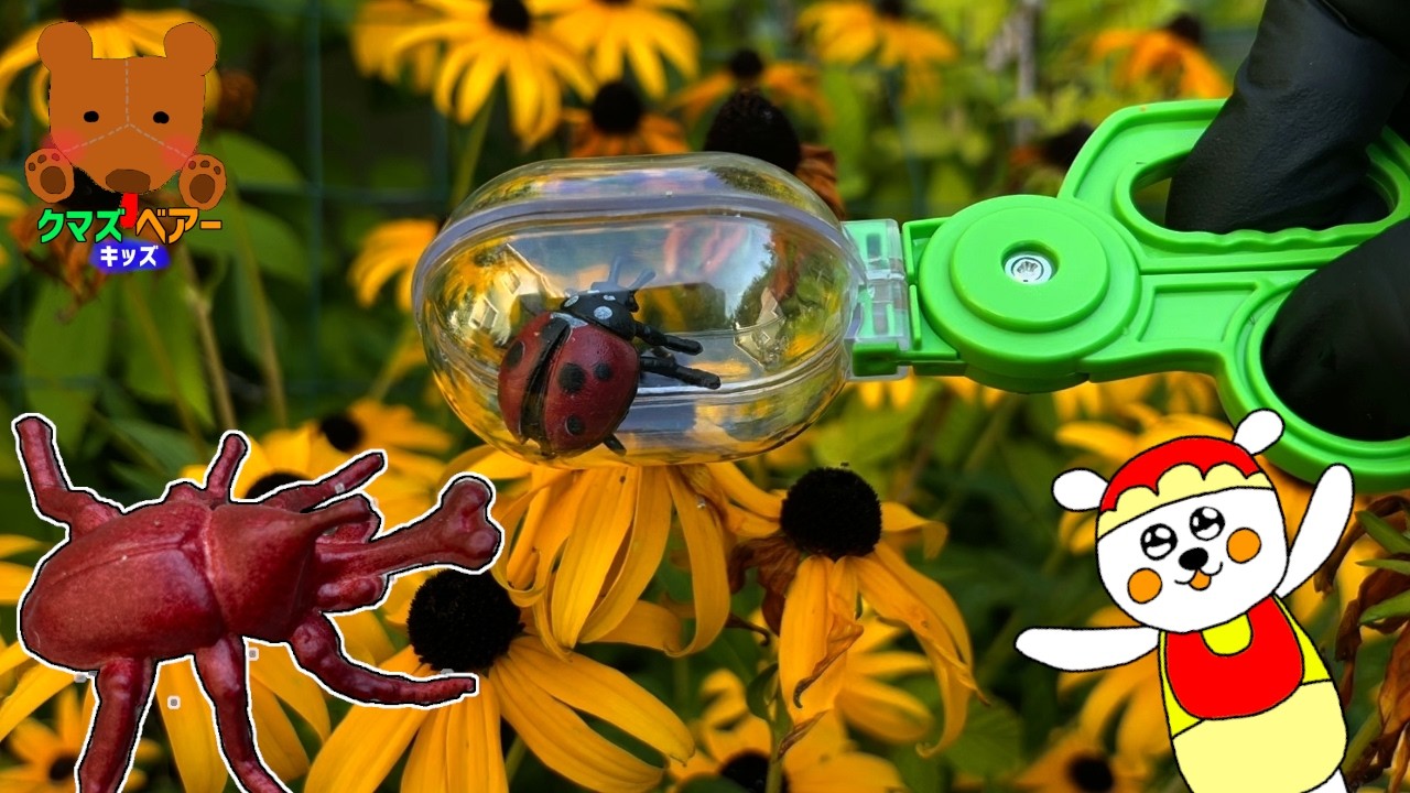 昆虫採集】おもちゃの虫を捕まえて虫かごに入れよう - YouTube