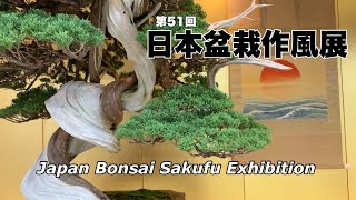 第51回 日本盆栽作風展／51st Japan Bonsai Sakufu Exhibition - YouTube