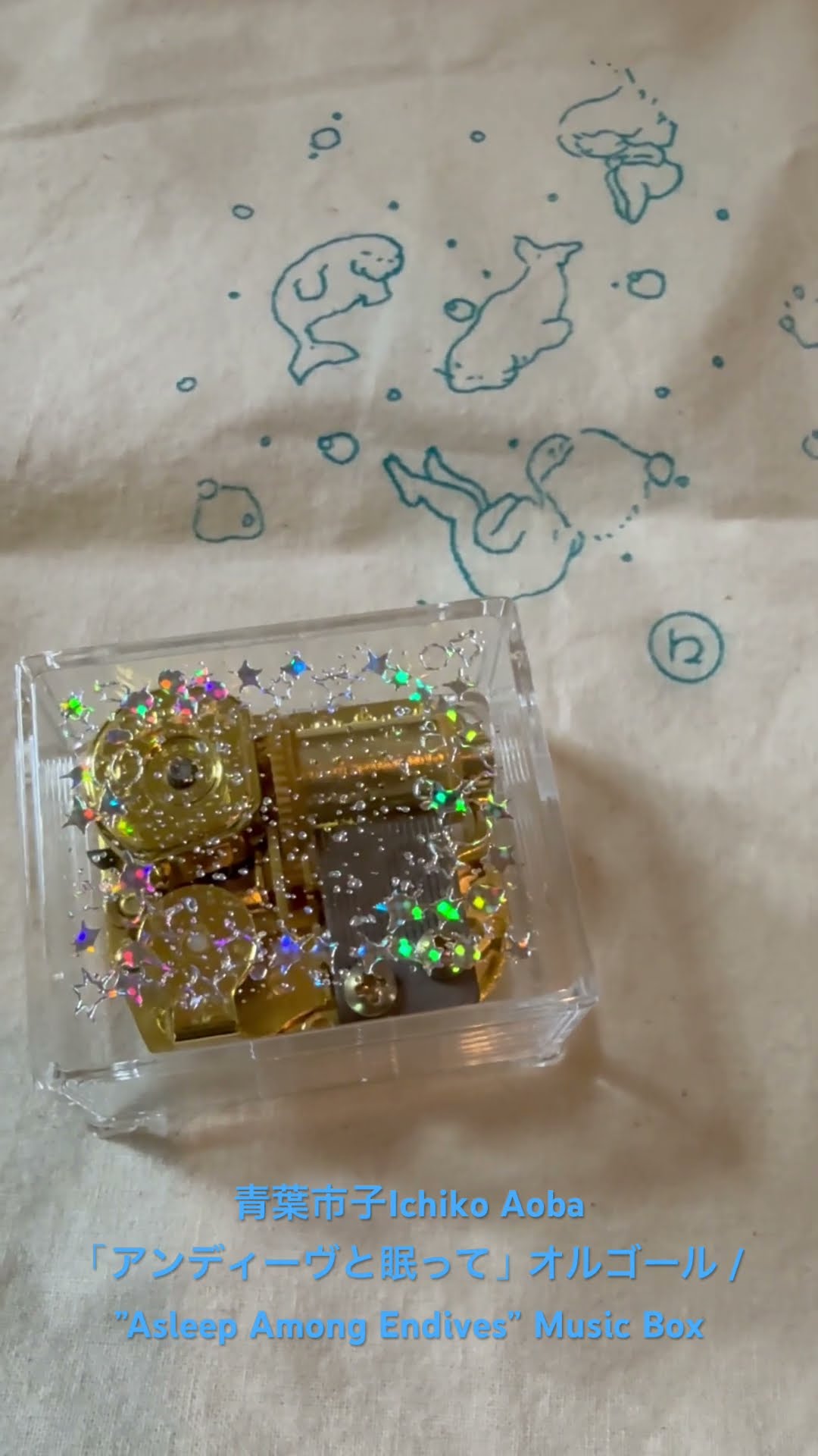 青葉市子 Ichiko Aoba アンディーヴと眠って オルゴール 新品 ✧