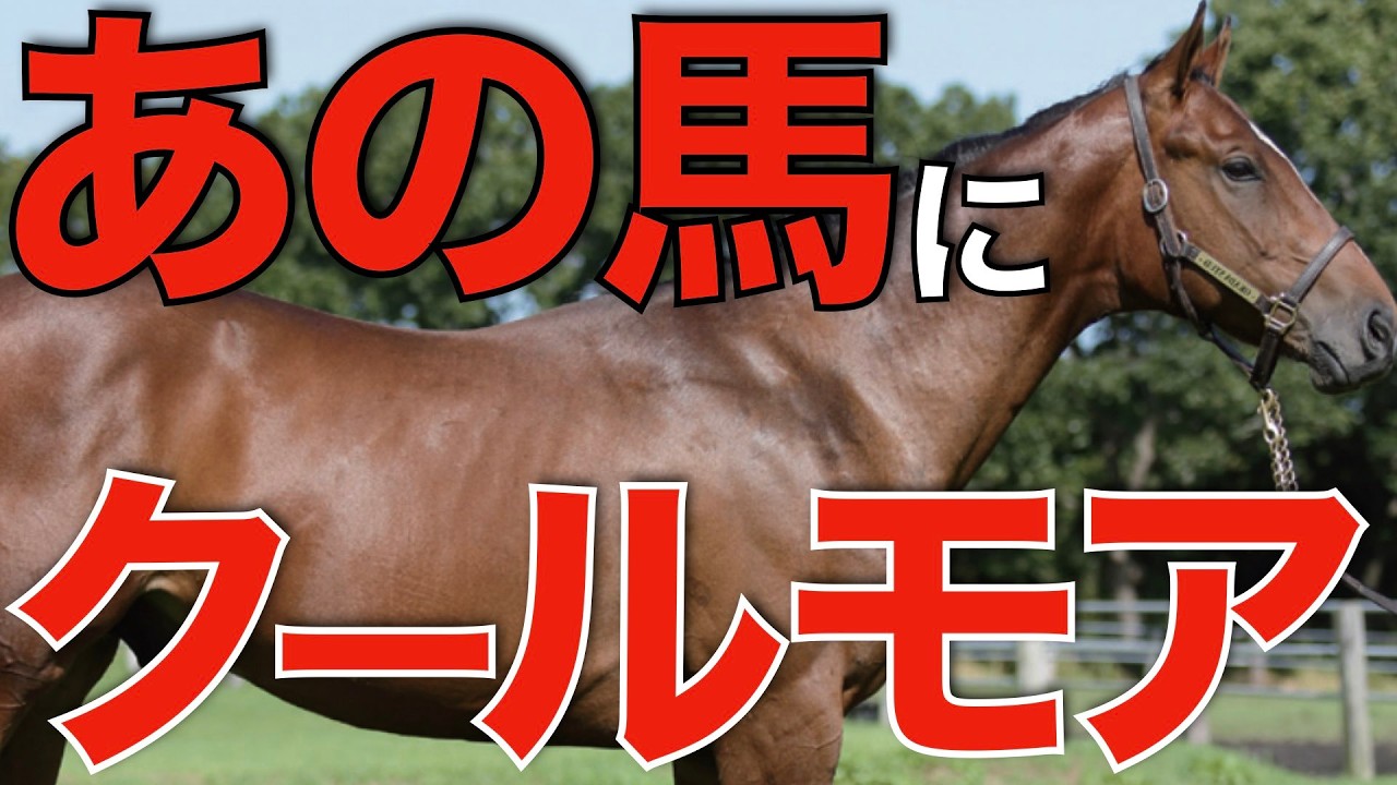 クールモアがあの種牡馬に本気だった！来日した繁殖牝馬の配合相手を