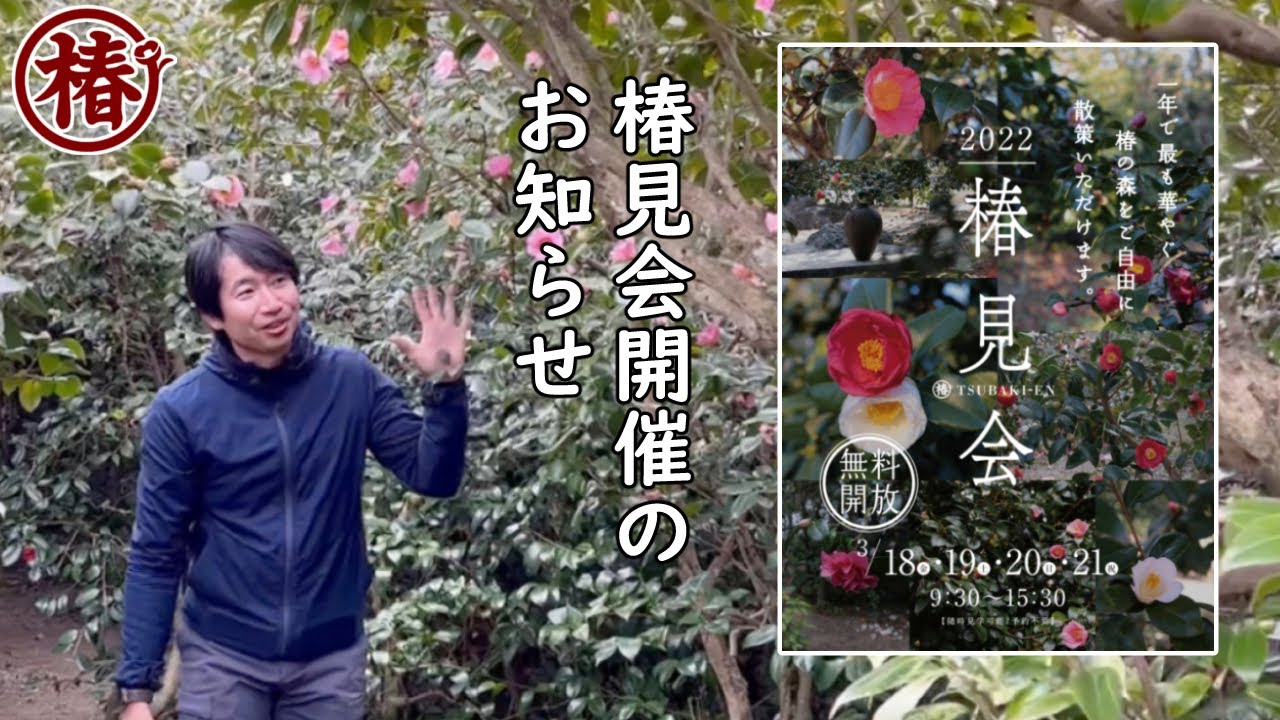 2022椿見会・つばきみかい開催のお知らせ♪ 椿園の生産農園よりお届け