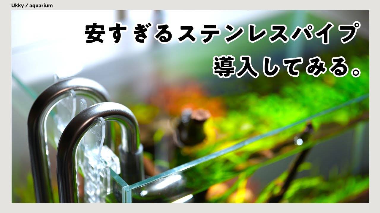 ADA新製品】メタルパイプ・フローを徹底レビュー リリィパイプをすぐ