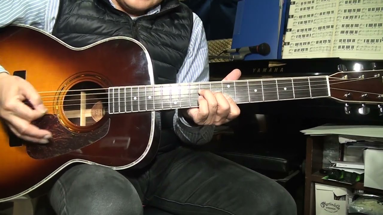 モーリス MF 601 ブラウンサンバースト バードケース付き モーリス MF