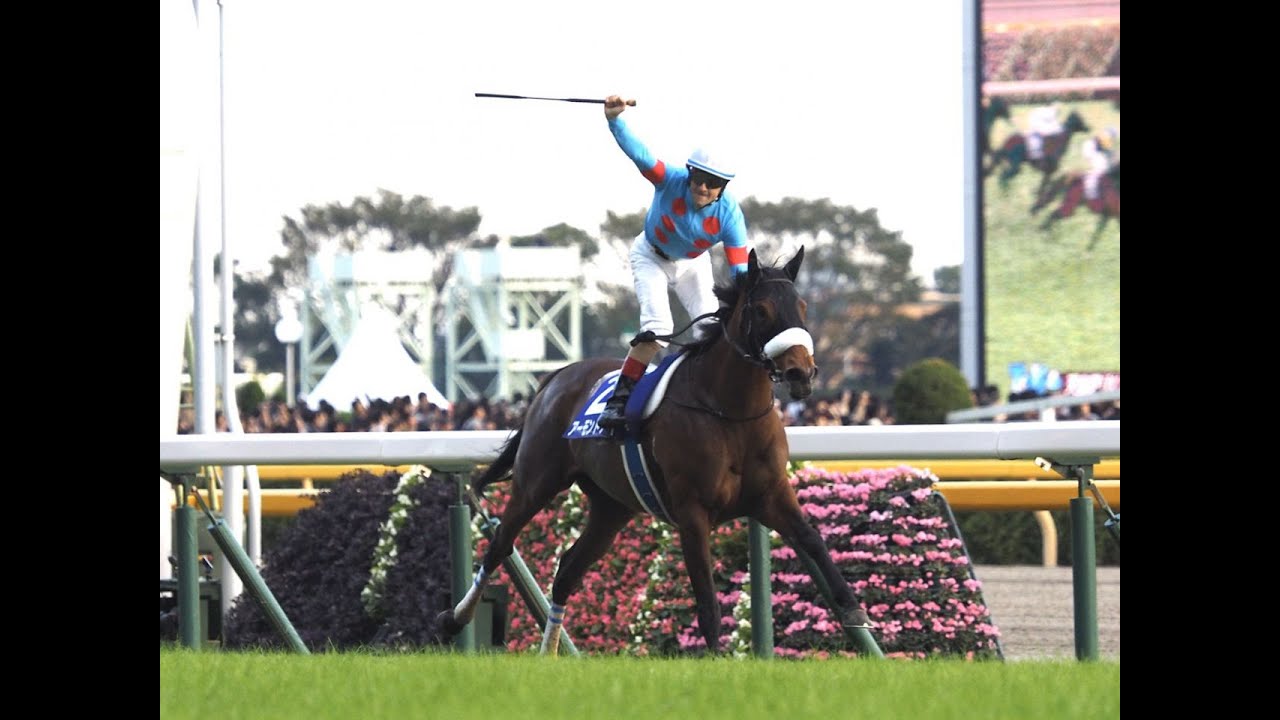 2019 天皇賞秋 GⅠ アーモンドアイ C．ルメール - YouTube