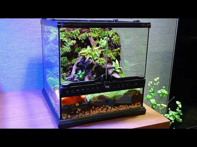 イモリウムを作る【part13】【パルダリウム】 - YouTube