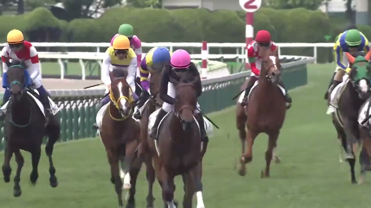 函館競馬】5Rメイクデビュー函館はロードカナロア産駒、小林美駒騎手の