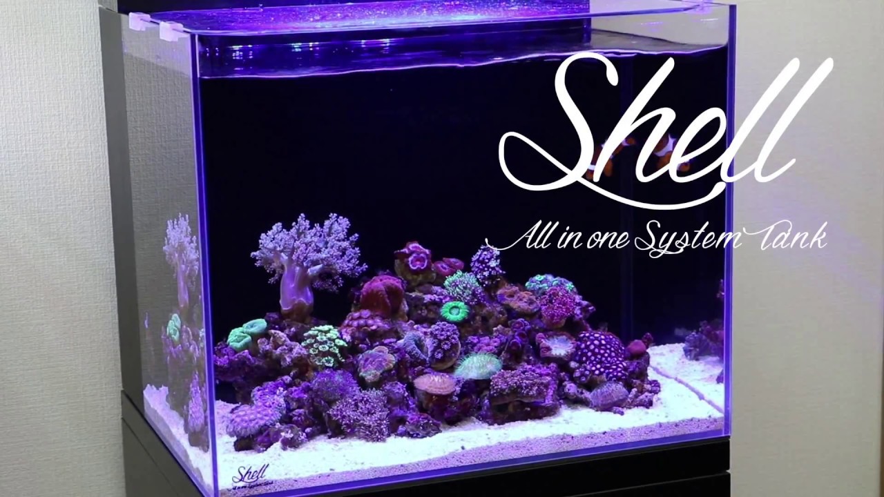 SHELL2 フルセット【引き取り限定】 シェル2フルセット