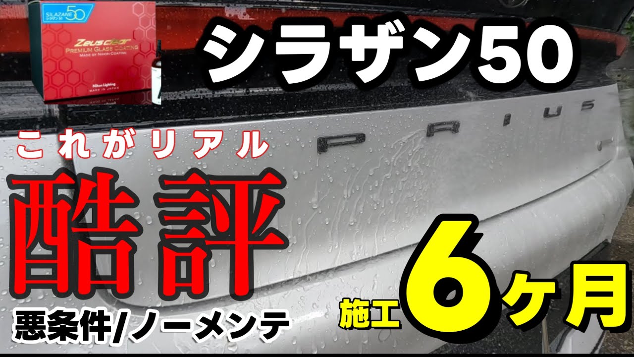シラザン50】忖度なしでリアルをお届けします！ 6ヶ月経過報告 - YouTube