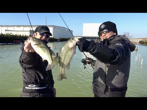 驚釣！管釣りアイローラー70真冬の早掛け対決！ - YouTube