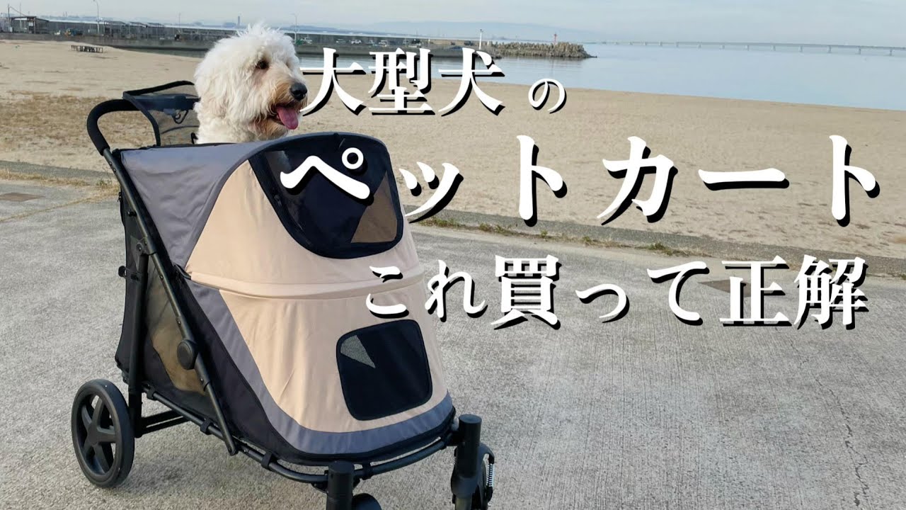 大型犬用ペットカート買って大満足したのでレビューします - YouTube