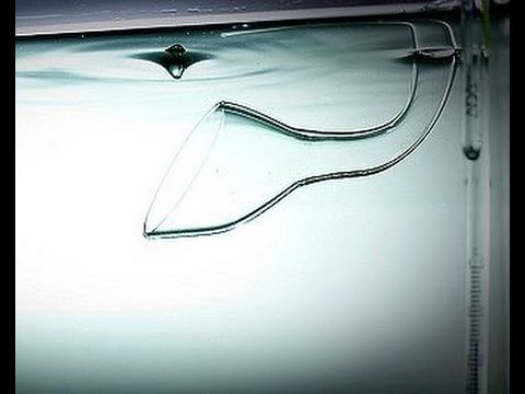 ADA Lily Pipe P2 - 13mm Unboxing - YouTube