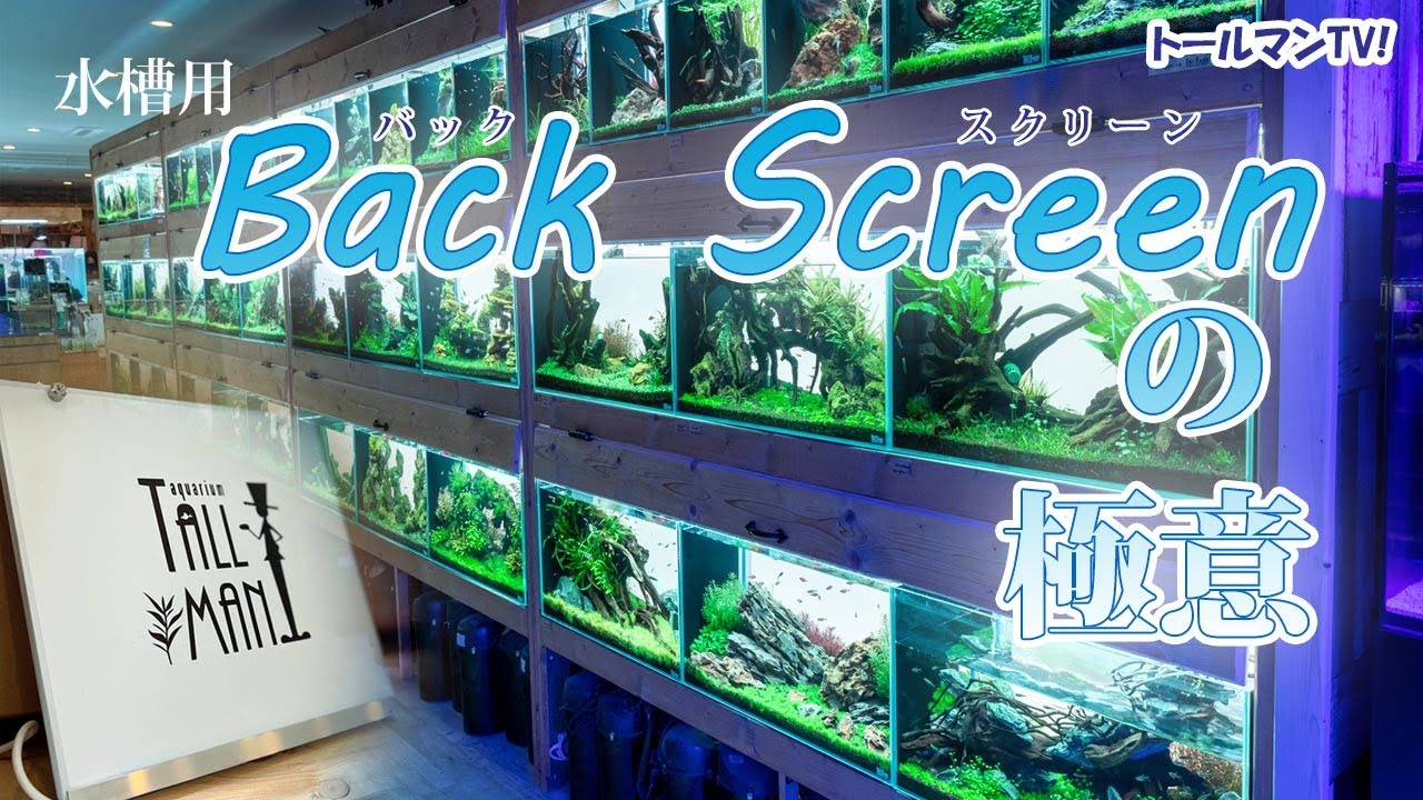 バックスクリーンの極意 - YouTube