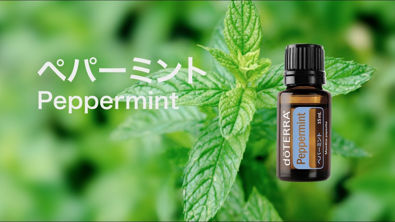 ペパーミント - doTERRA TIMES
