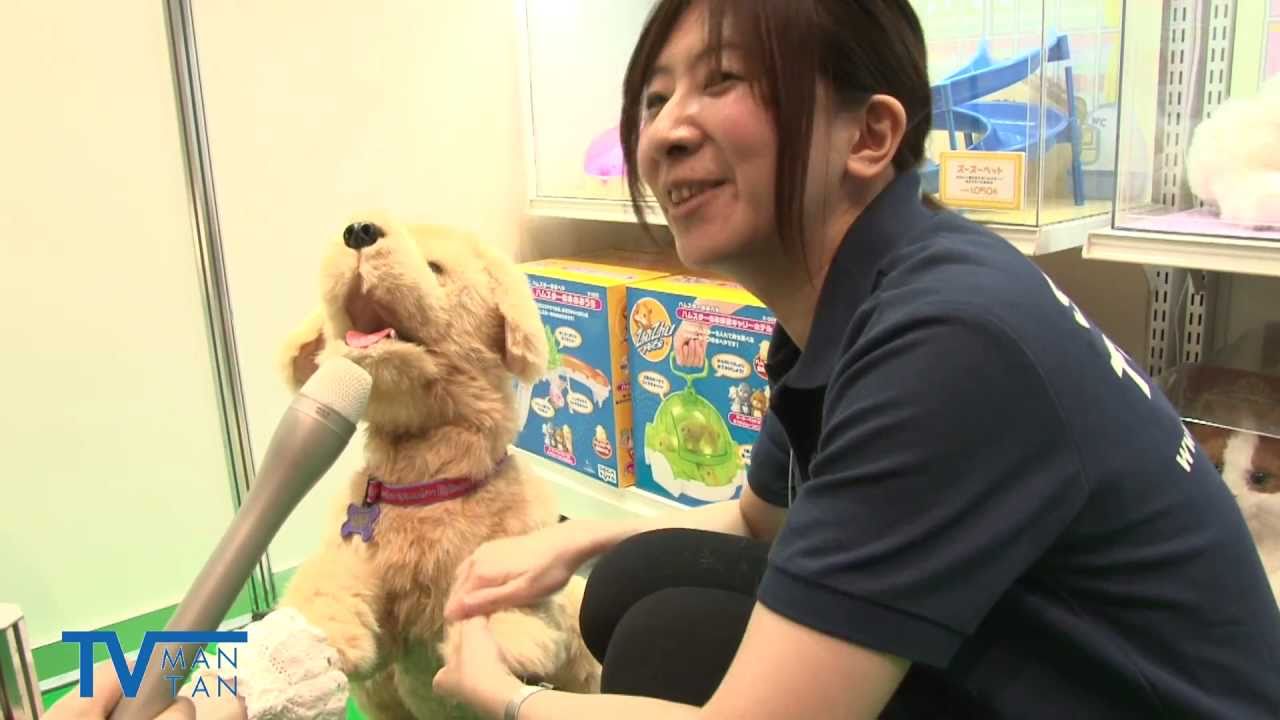 夢ペット（セガトイズ） 東京おもちゃショー2011 - YouTube