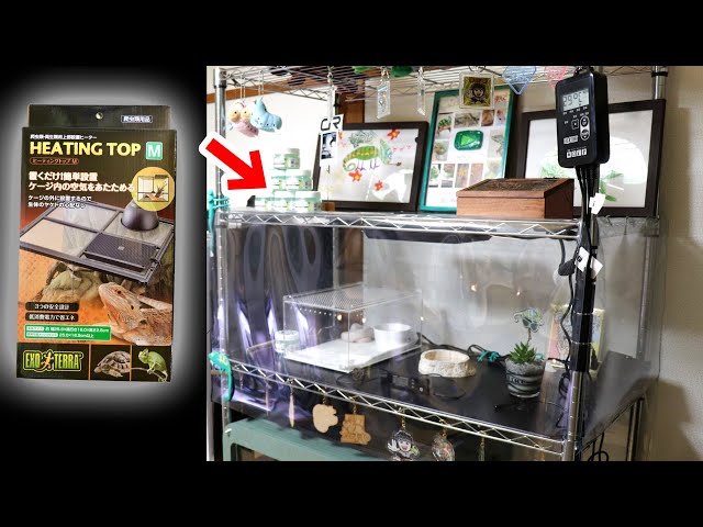 I made a vinyl greenhouse for reptiles [GEX Heating Top] - YouTube