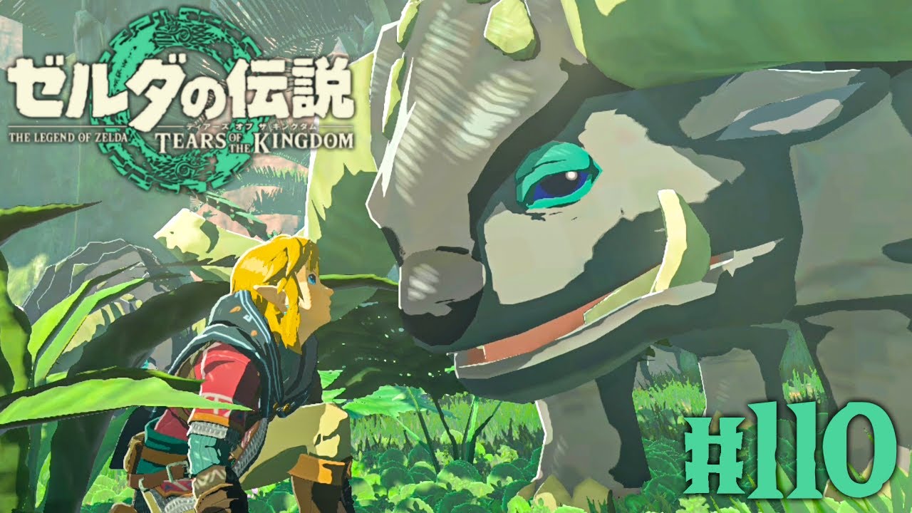 Splatoon3 ゼルダの伝説 ティアキン【動作確認済】 Splatoon3 ゼルダの