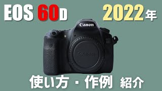 初心者オススメ❣️ Canon EOS 60D✨ 高速連射 動画撮影 一眼レフ