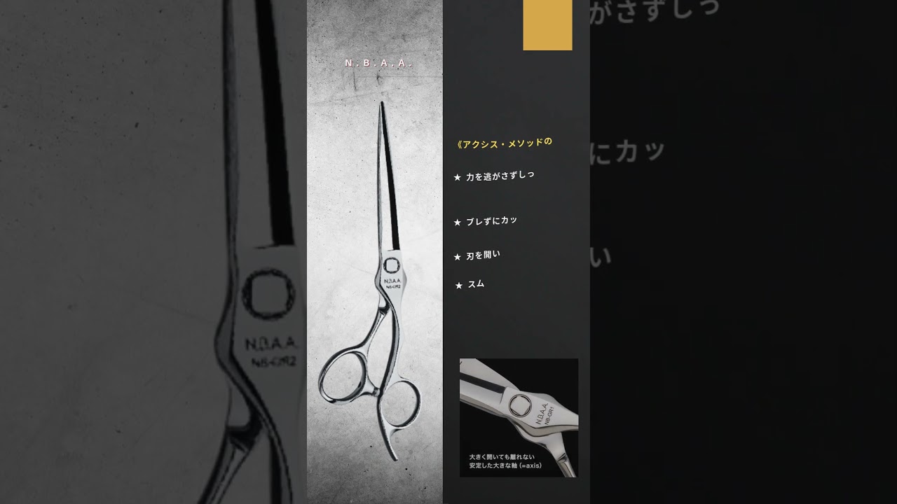 N.B.A.A. カッティングシザーGM 6.2（NB-GR2）ジェニュイン ハサミ屋はやし