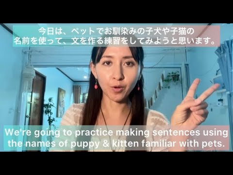 How to say Puppy and Kitten in Japanese - YouTube